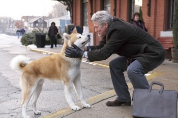 Hachiko  perro siempre a tu lado 