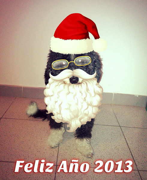 Ozzy les desea Feliz año nuevo