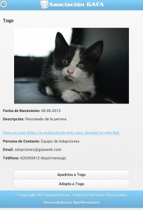 Perfil gatos asociación Gata