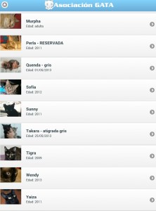Gatos disponibles para adoptar