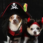 Perro disfrazado en Halloween