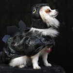 Perro disfrazado en Halloween