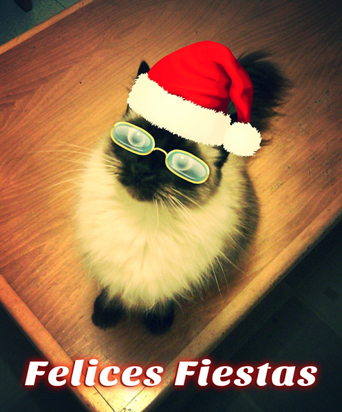 Maggie les desea felices fiestas