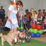 Perros disfrazados