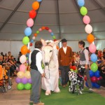 Burro disfrazado