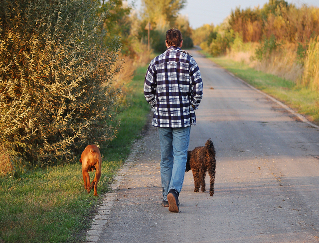 Ir de paseo con perro